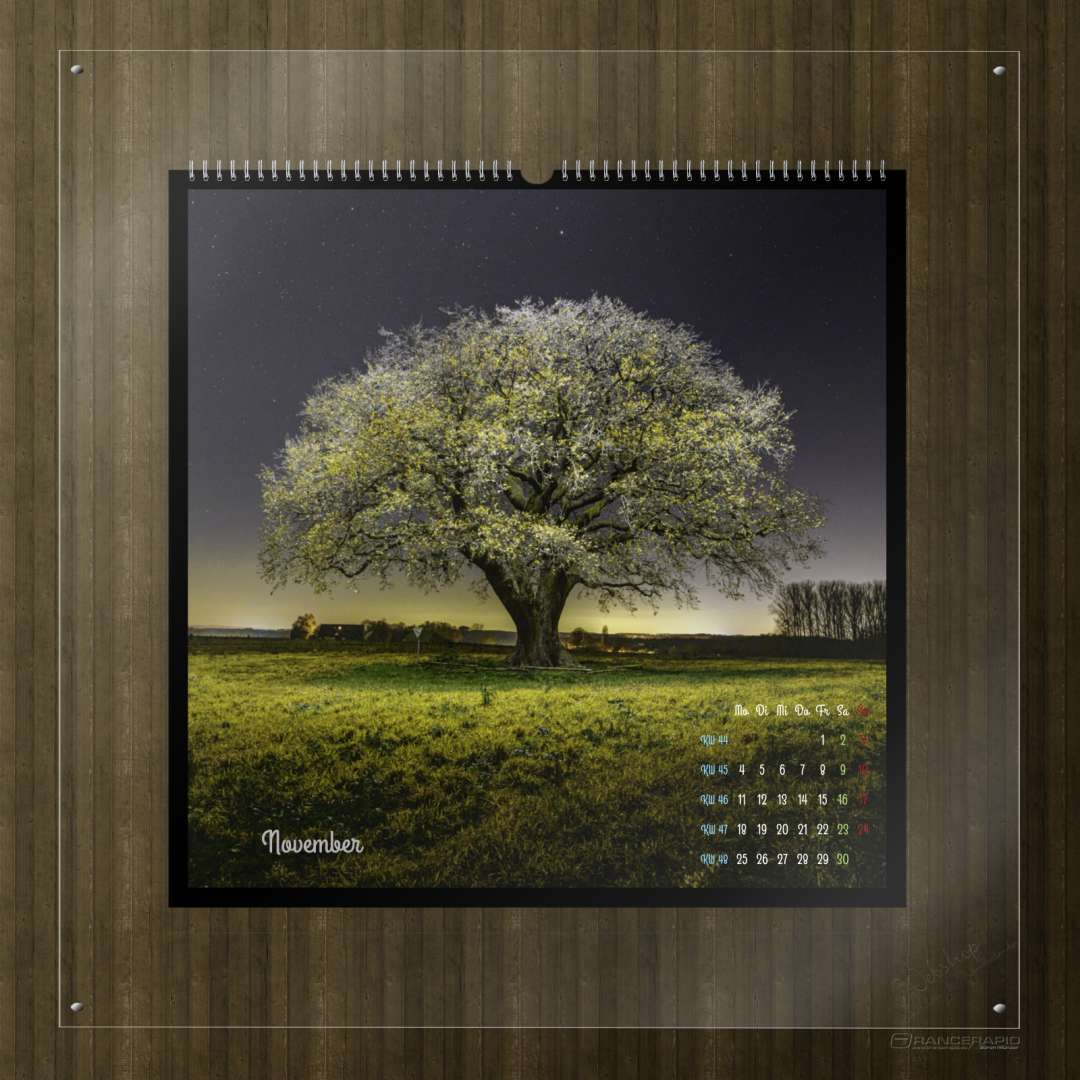Kalender Bäume 2024 - "Nächtliche Bäume" Monat November
