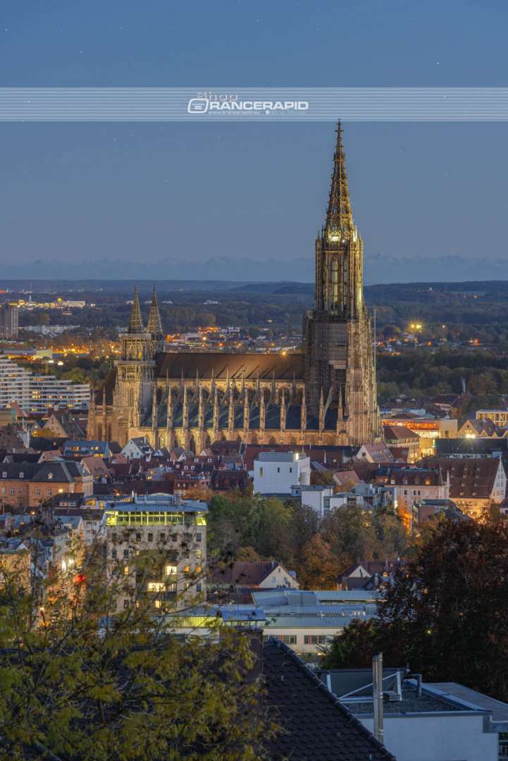 Ulm and the Ulm Minster at night with the Alps on the horizon.