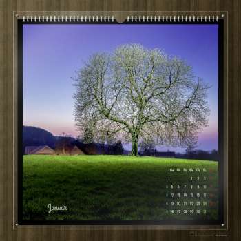 Preview: Kalender Bäume 2026 - 