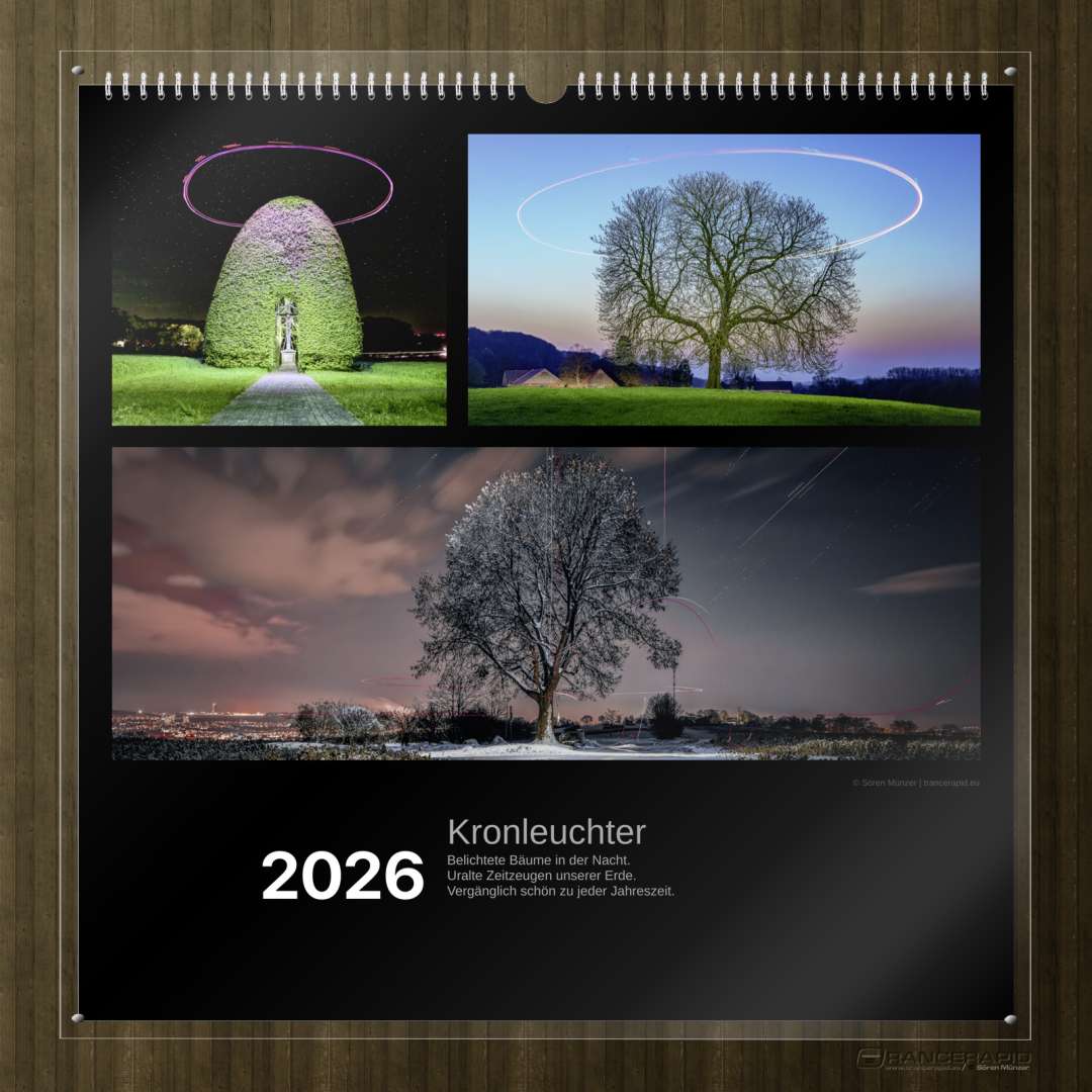 Kalender Bäume 2026 - "Nächtliche Bäume"