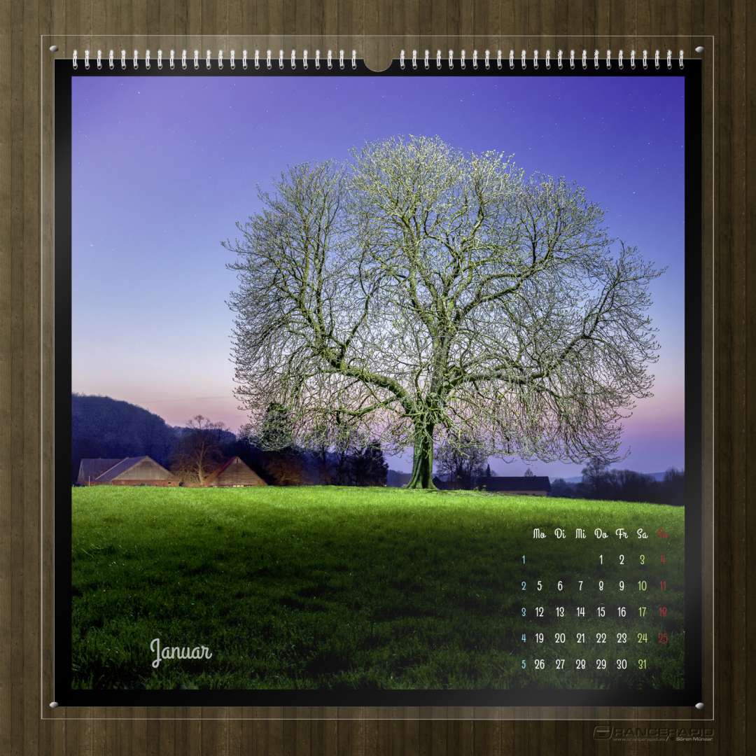 Kalender Bäume 2026 - "Nächtliche Lichtkronen" Monat Januar