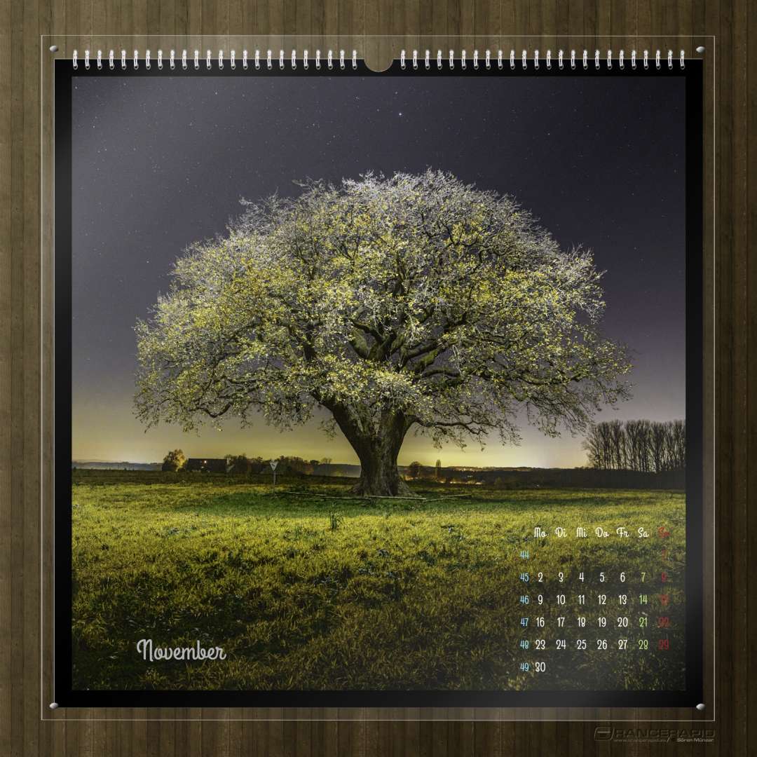 Kalender Bäume 2026 - "Nächtliche Bäume" Monat November