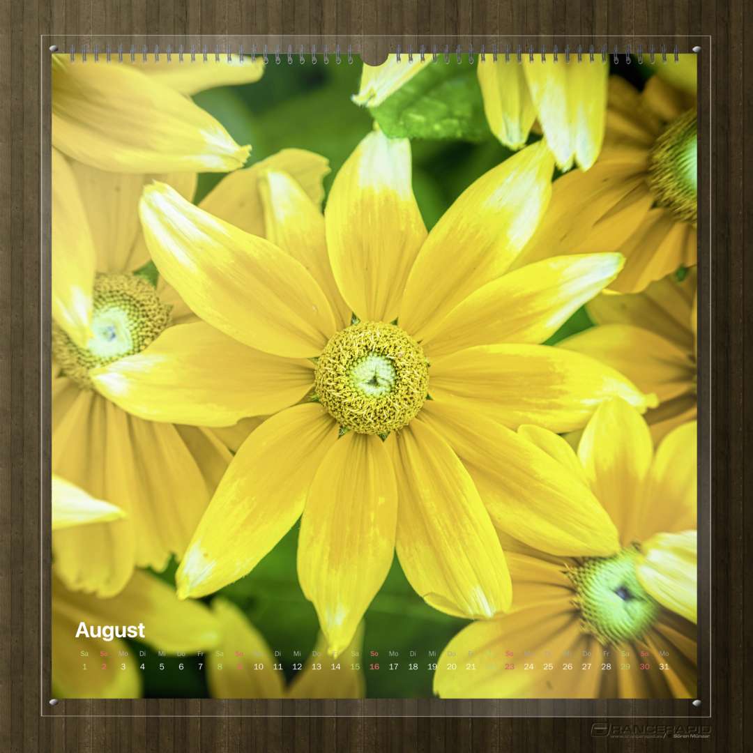 Kalender Natur 2026 - "Sag's durch die Blume" August-Bild