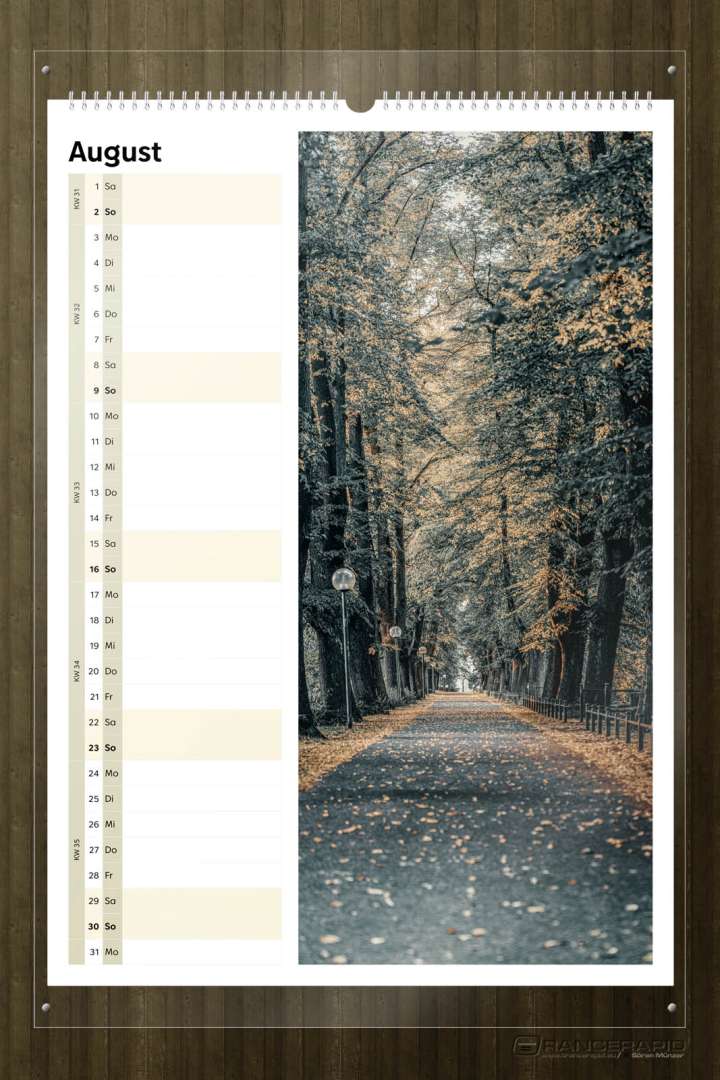 Wandkalender, das August Motiv mit dem Marktplatz und der Katharinenkirche.